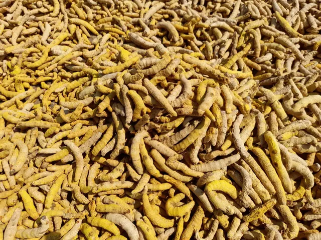 A large heap of whole dried yellow turmeric fingers